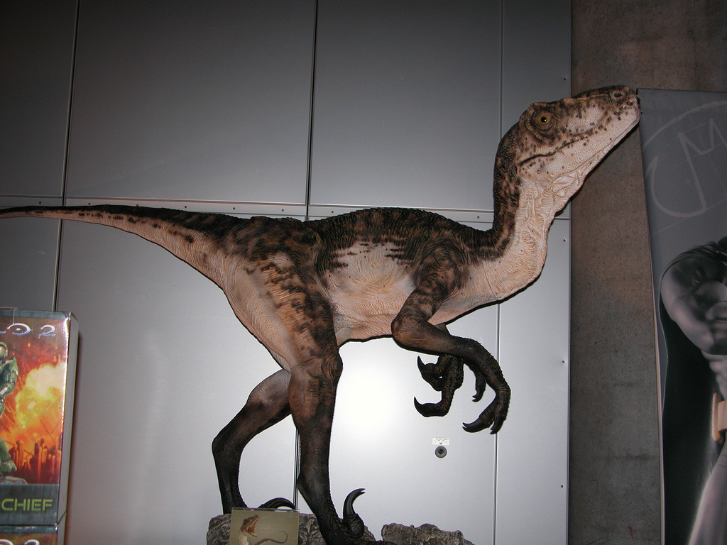 photo gallery - The History Of Dinosaurs